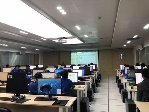 集團(tuán)舉辦青工常用辦公軟件技能提升培訓(xùn)與技術(shù)比武，賦能軟件技術(shù)開發(fā)人才成長(zhǎng)